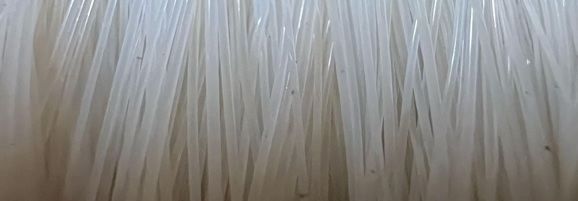 Sci Lume Bylon banner photo