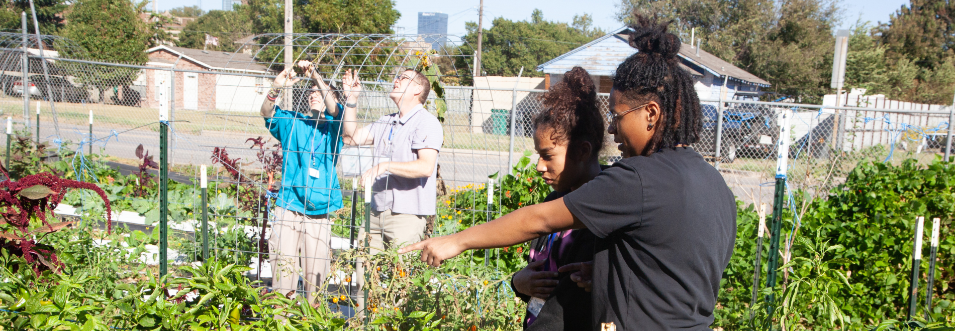 Nursing students skyline garden