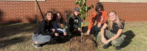 Students plant a tree as part of environmental club