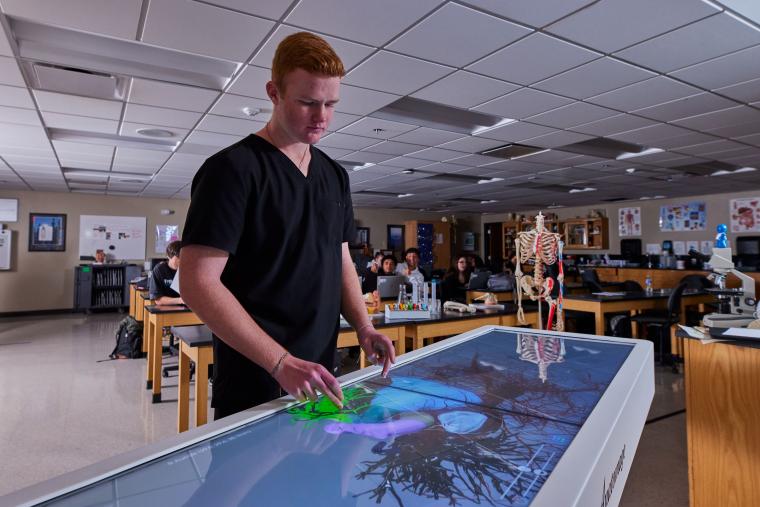 Student interacting with digital anatomy model