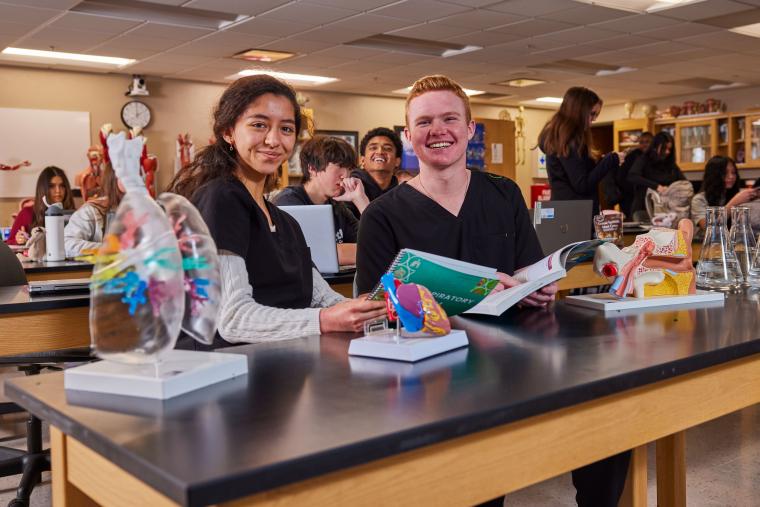Two students sitting at a desk with models of various organs