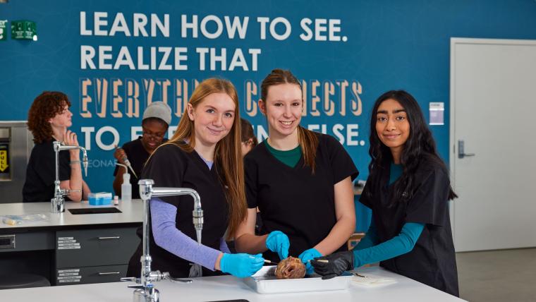 Three students examining an organ
