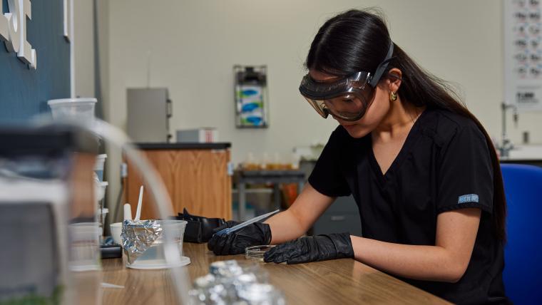 Student inspecting sample in a petri dish