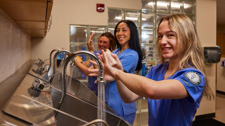 Several students washing their hands at a handwashing station