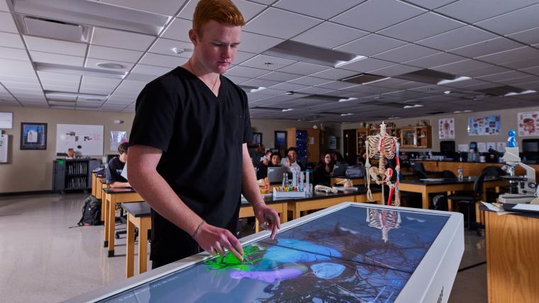Student interacting with digital anatomy model