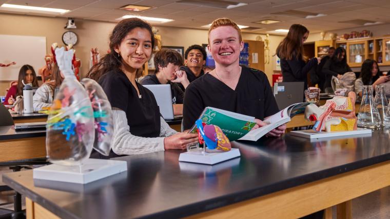 Two students sitting at a desk with models of various organs