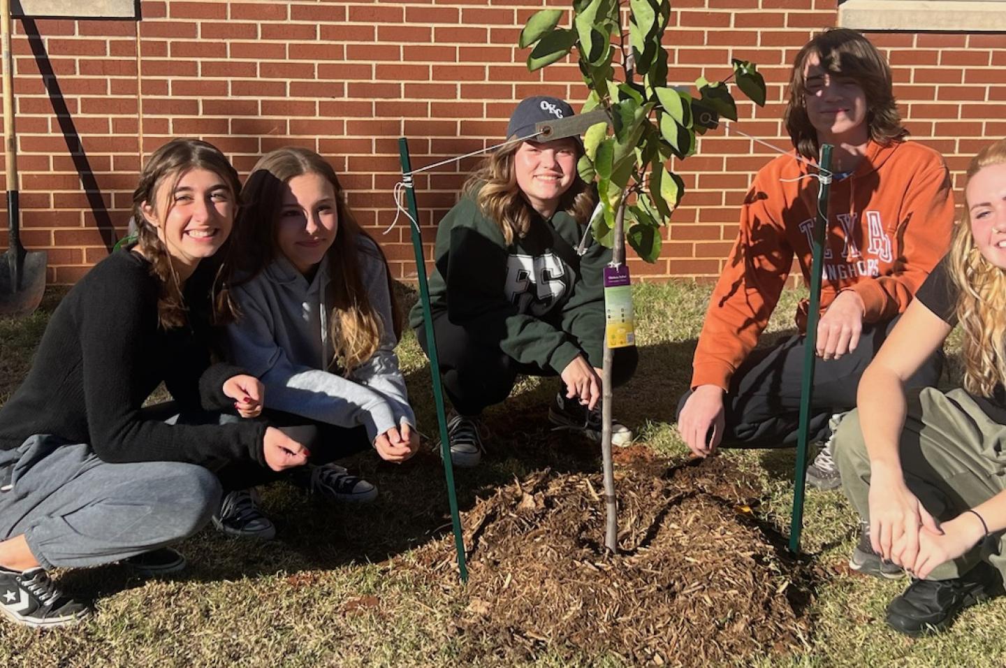 Students plant a tree as part of environmental club