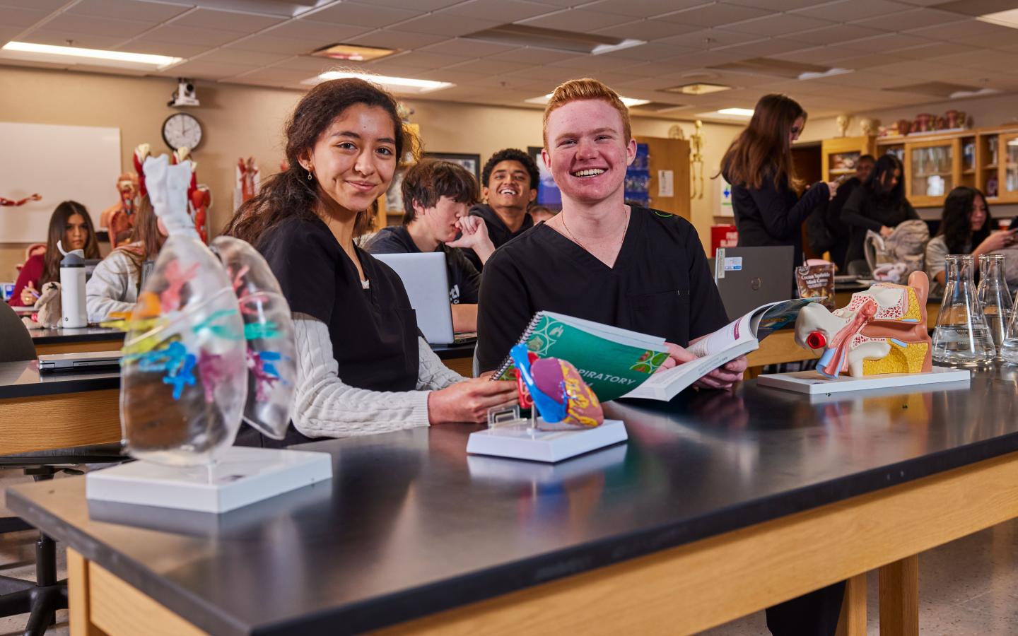 Two students sitting at a desk with models of various organs