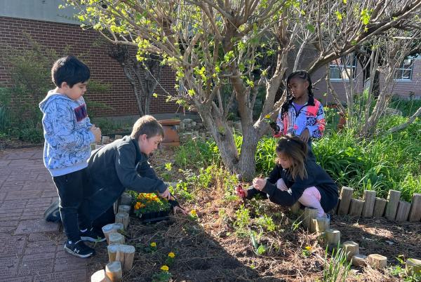 Elementary students tends the school's garden as part of environmental club