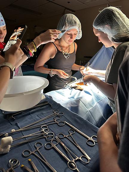 Students participate in the Junior Surgeons class during Summer Quest